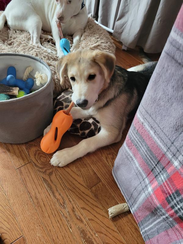 Enjoying his first billy stick