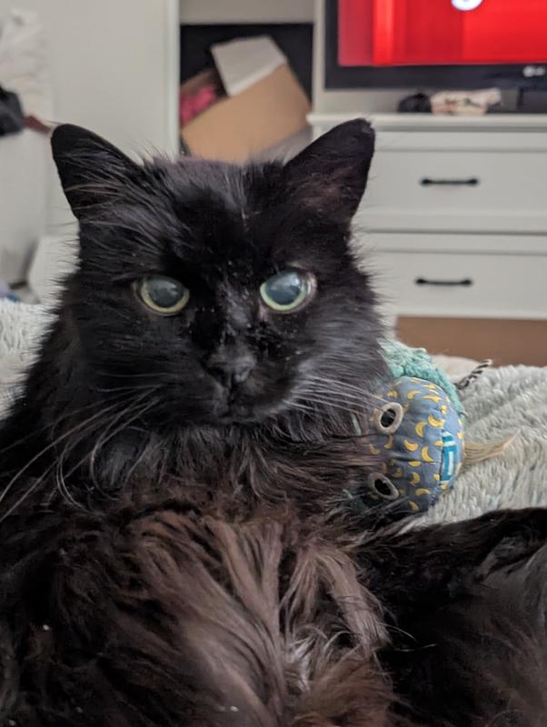 Madison, almost 19 yo