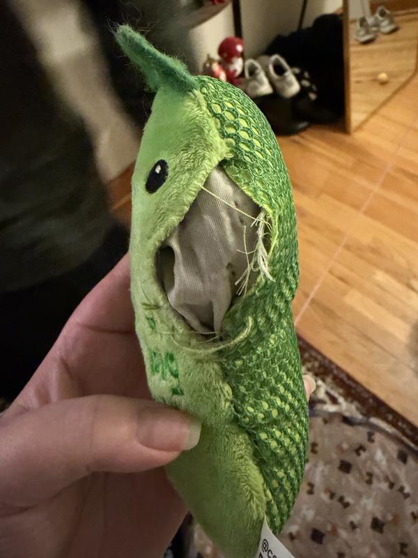 Broken on the first day :/