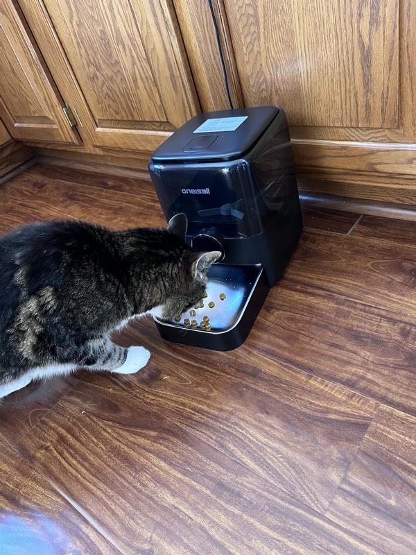 Jack got there first!