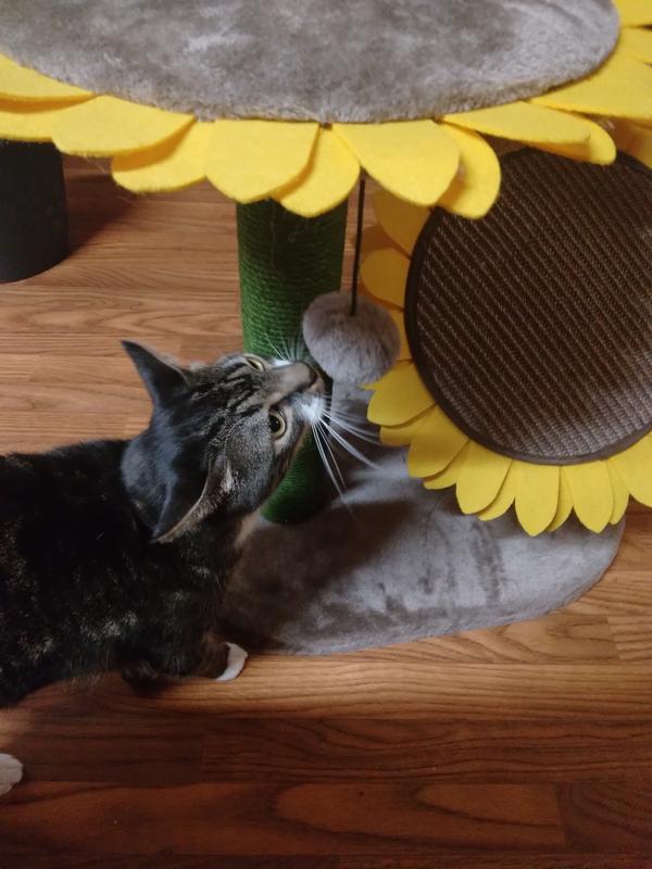 FRISCO Sunflower Cat Scratching Post, Two Post with Lounger