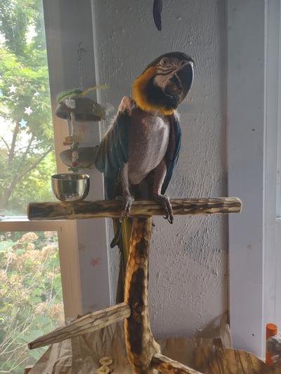 Marvin just chilling