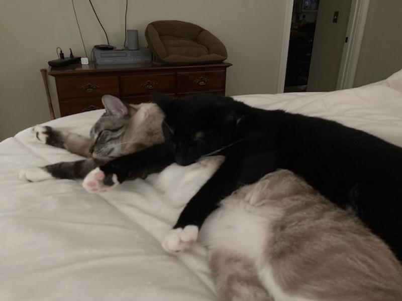 Can't let the dogs get all the glory!  Spray us too!!!