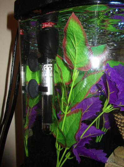 25 watt Hydor heater