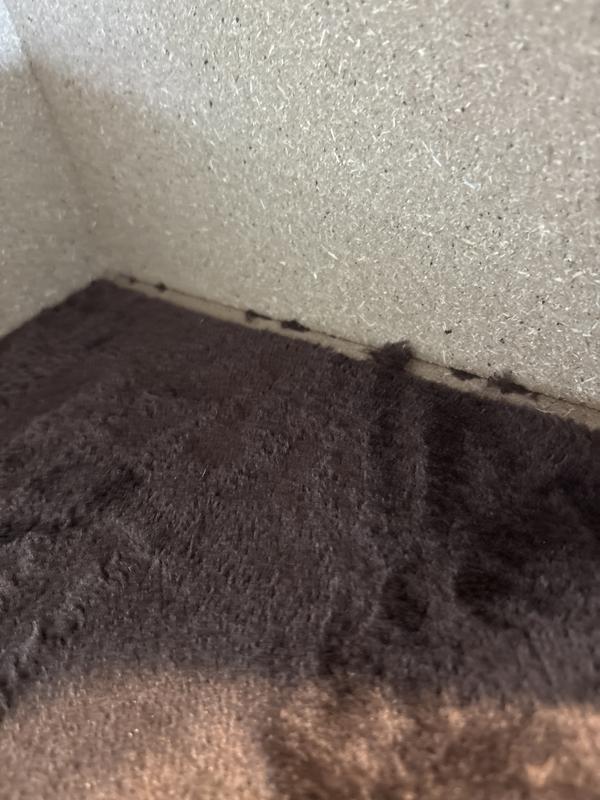 Not even fully lined