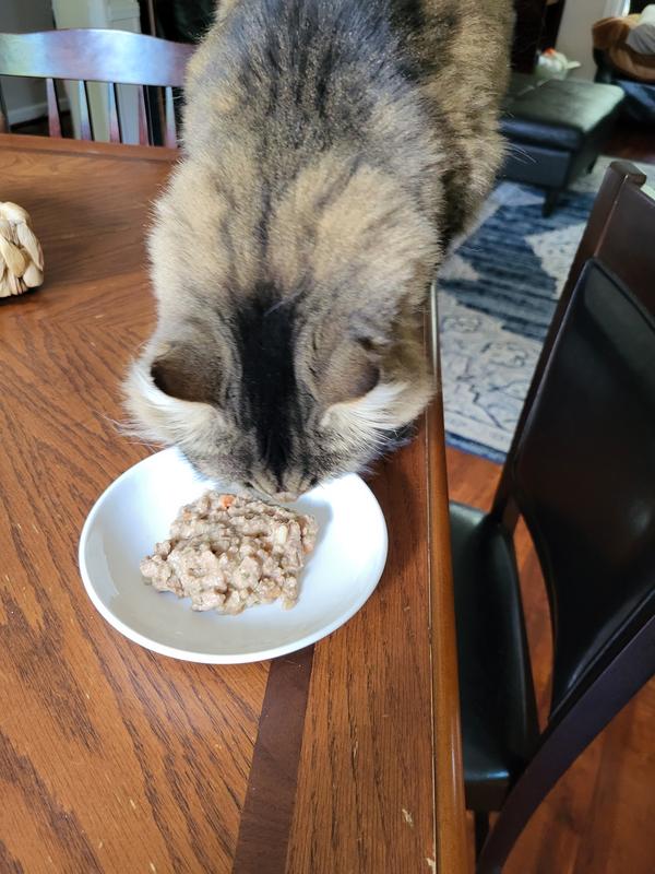 She ate a bit and realized "hey this is new!"