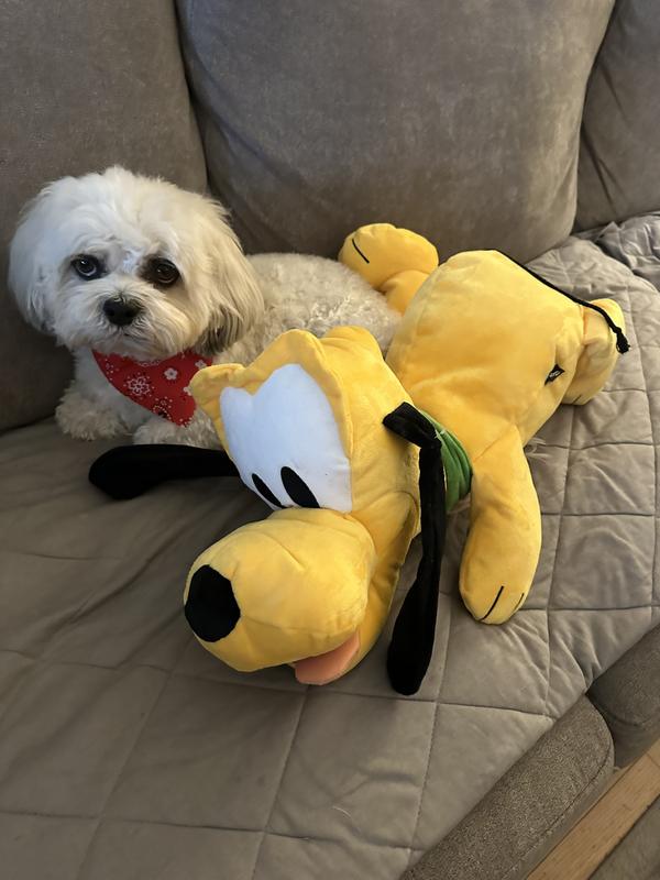 Plush pluto dog best sale