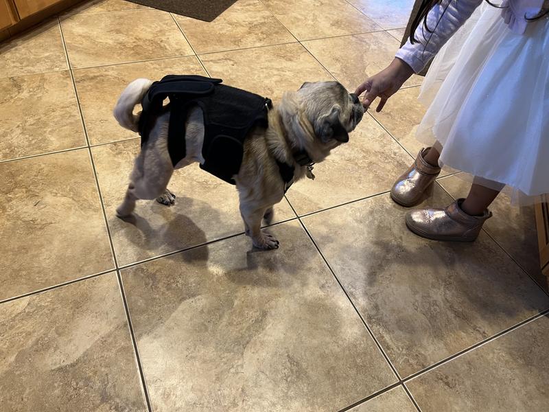 “Thank you, sis!”