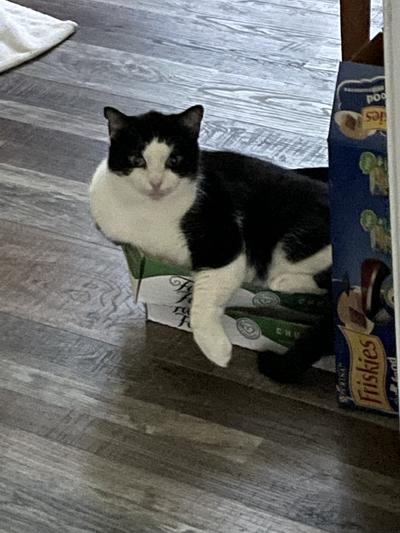 Molly says even the boxes are so good, she uses two at a time!