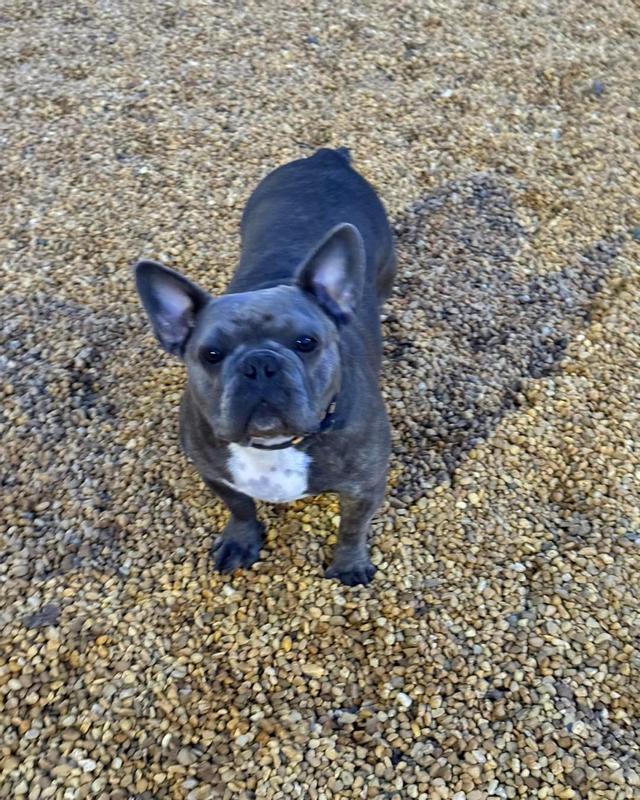 She’s usually not picking when it comes to food or treats