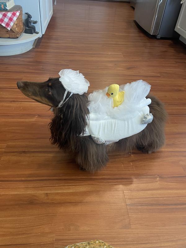 So cute! Love his little bubble hat!!