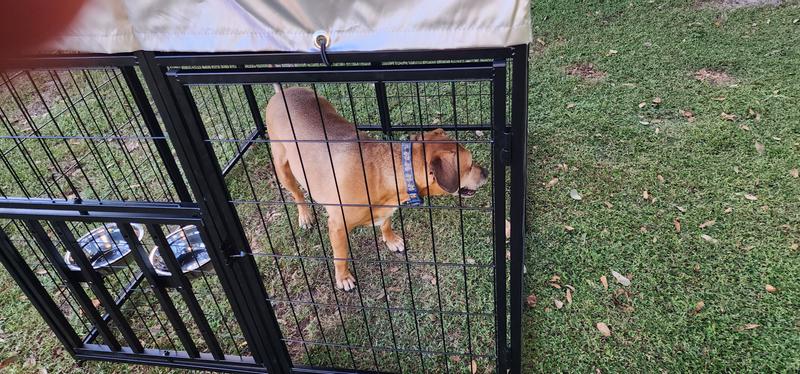 My buddy Dallas had plenty of room. He's about 60 lbs. He even fit through the feed door.
