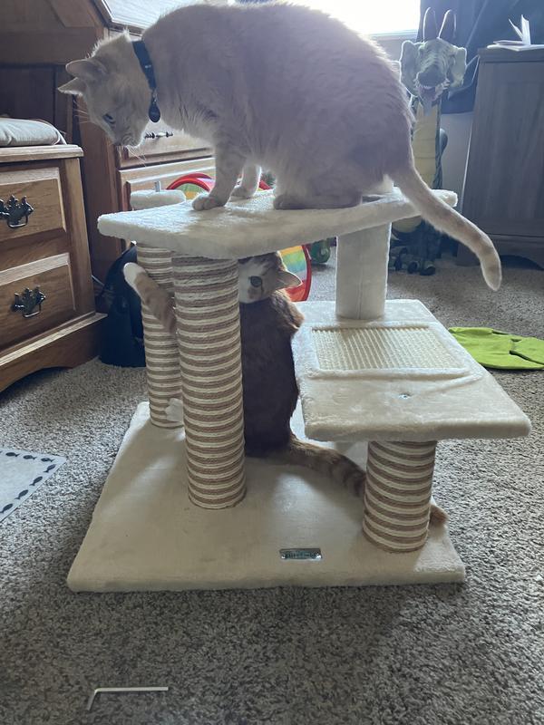 Elitefield cat tree sale