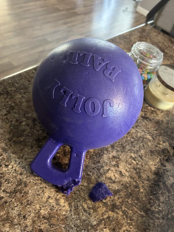 JOLLY PETS TugnToss Dog Toy, Purple, 8in