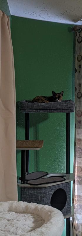 You can see the mat here on the cat tree where I used it to give her some traction so she can safely reach the top.