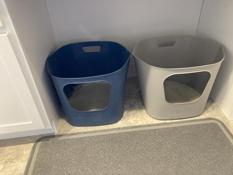 FRISCO Leaf HighSided Cat Litter Box, Large, 21in