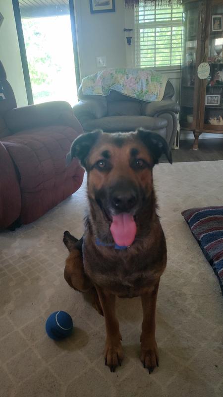 Sweetheart  fun loving and loves to play