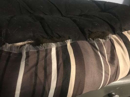 ASPCA dog bed with seam ripped