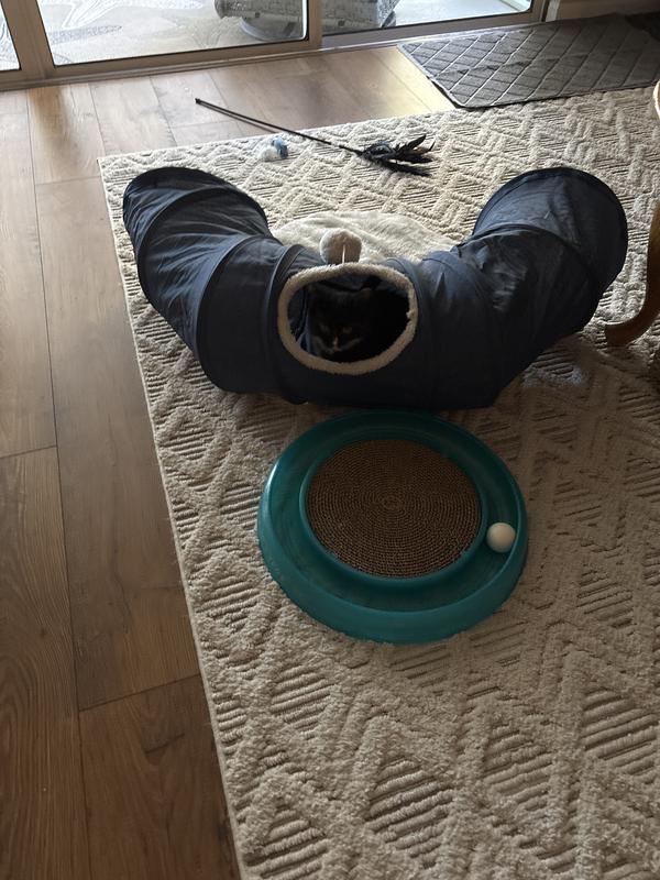 Great cat toy!