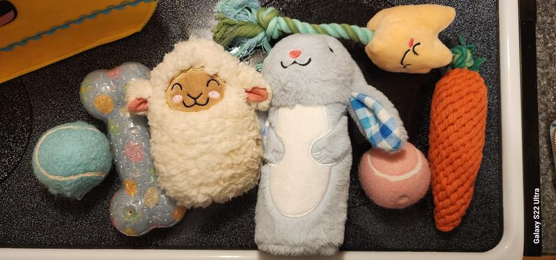 lots of variety to keep your pup occupied