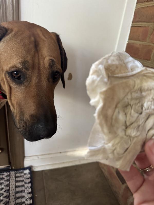 Took a good amount of dirt off