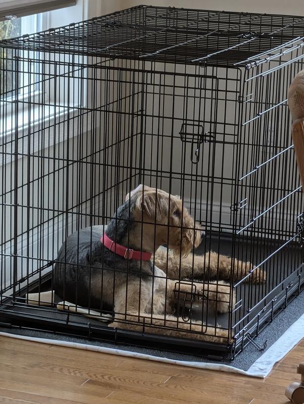 Lots of room to stretch out