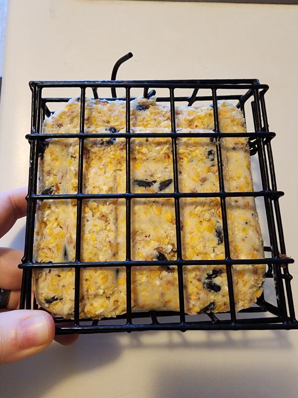 A suet block secured in a hanging feeder cage (not provided).