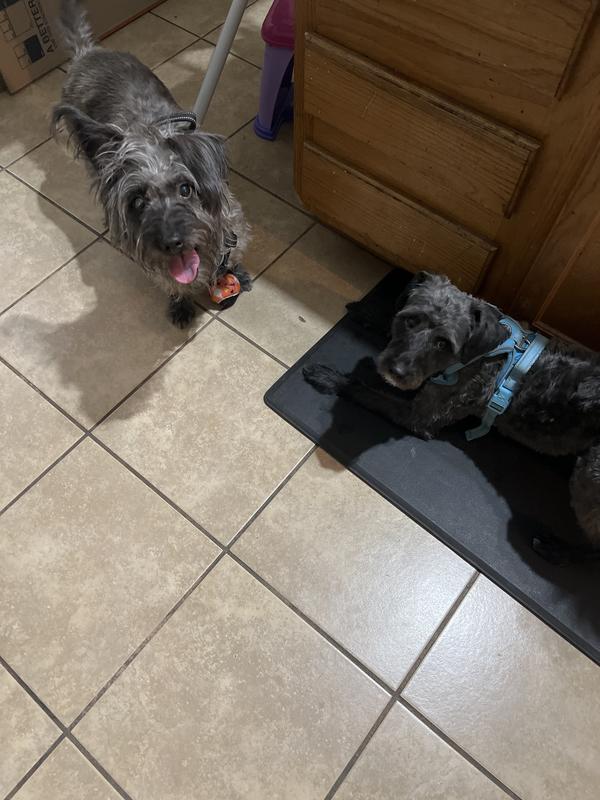 Mom & son playing together 🥰