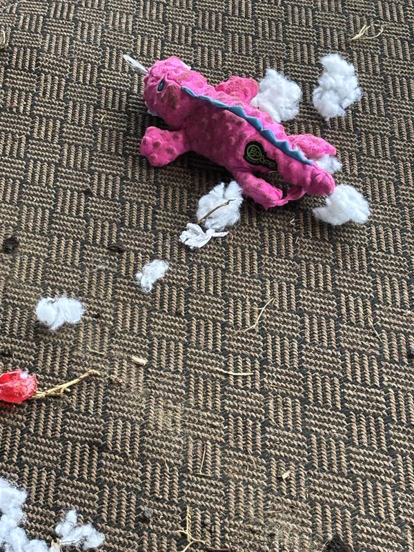 Very low quality and is definitely not for a golden retriever.