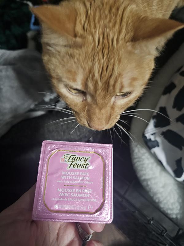 FANCY FEAST Gems Mousse Salmon, Tuna, Chicken, & Beef Halo of Savory