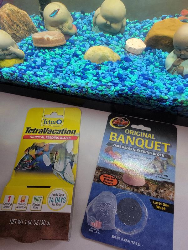 Prior to leaving for vacation - dropped into the tank