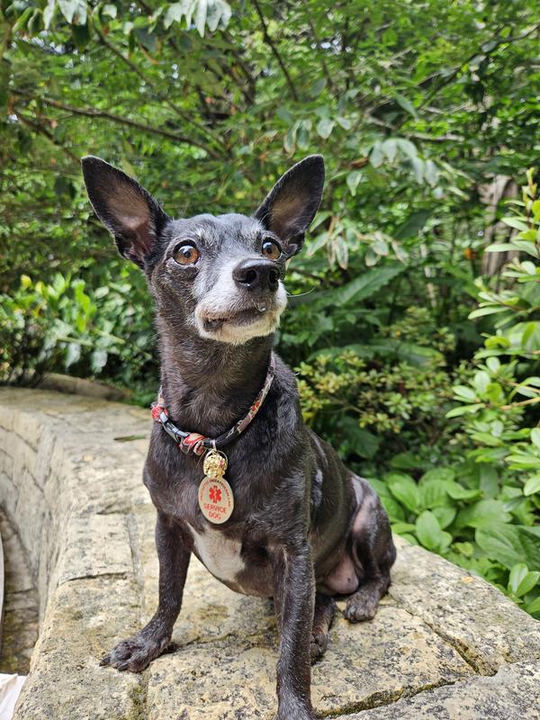 Little Queenie stylin'