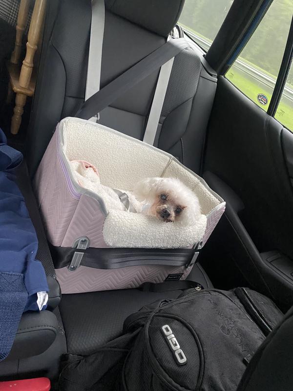 Lovin’ life on the road!