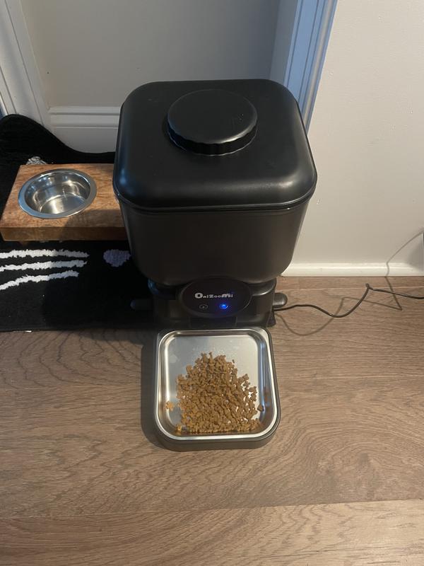 Must have for cat owners