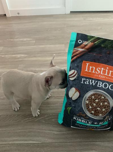 Instinct large outlet breed puppy review