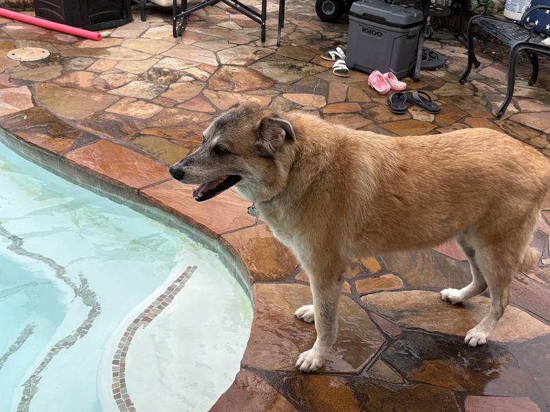 Hanging out at the pool