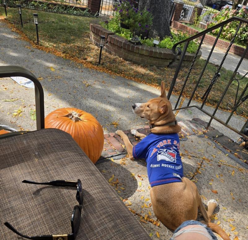 Waiting for the motorcycles