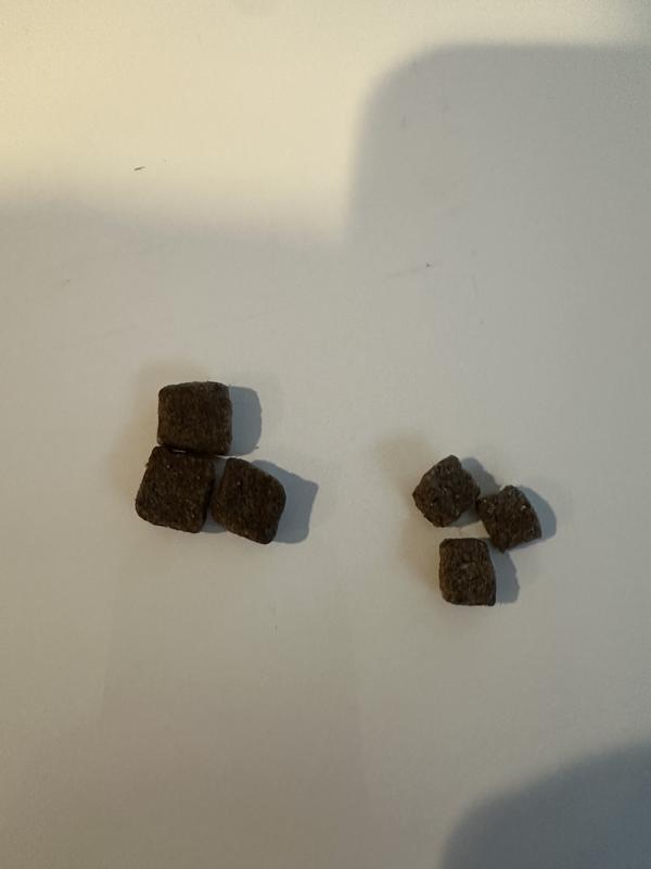 Old kibble on the left and new kibble on the right.