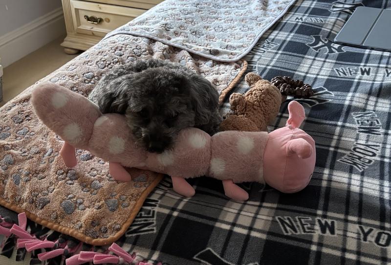 Her new best friend!