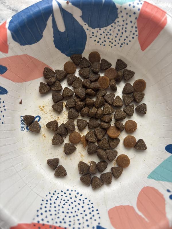 Old kibble is round and only a few left. The new kibble is the triangles which he left. He is of course (like most kitties) extremely picky.