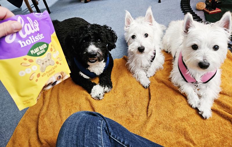 Will model for treats