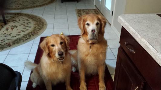 Dusty and Sadie