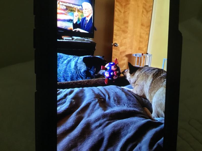 Who’s going to win??