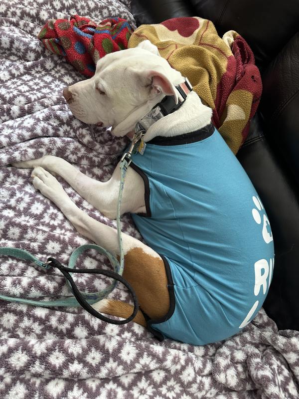 This was the same day of surgery right when he came home.