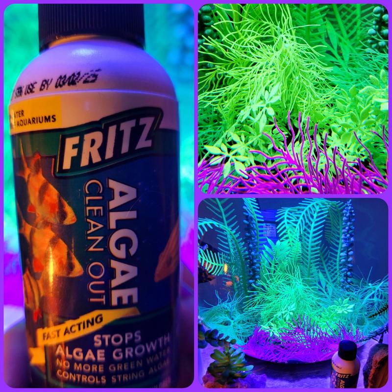 FRITZ Algae Clean Out Aquarium Water Treatment, 8oz bottle