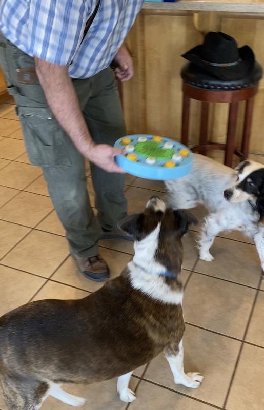 Lou Lou and Buck VERY INTERESTED
