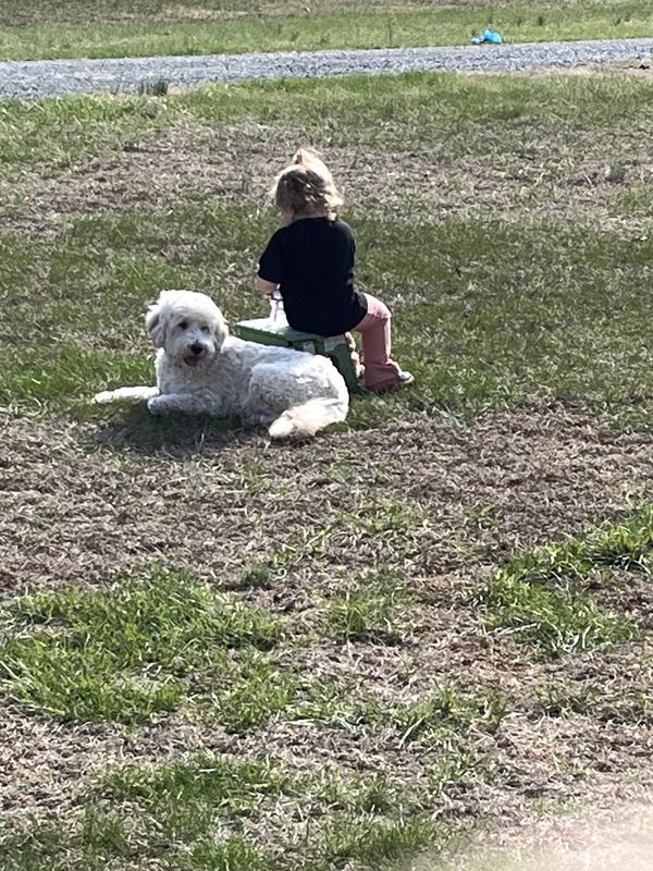 Protecting our great-granddaughter