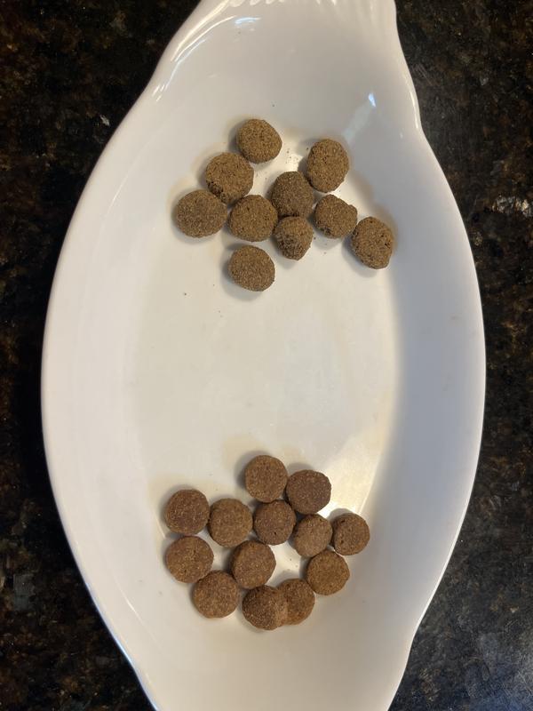 ProPlan (t) vs Health Ext Lg Bites (btm)