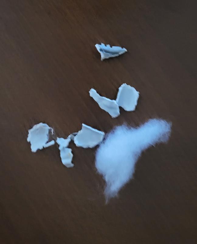 Destroyed toy.Gigi looking for more. Nerf ball is over 12 months old.