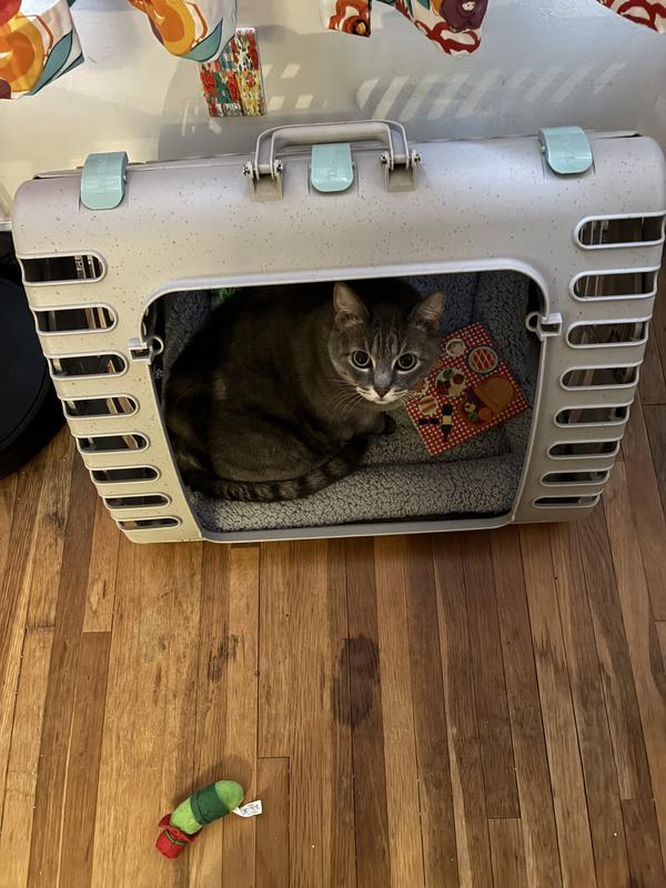 Hetty , the cat from hell when getting her in a carrier. There is an outlet behind it. I left the carrier right next to the diffuser for a month before we went to the vet !